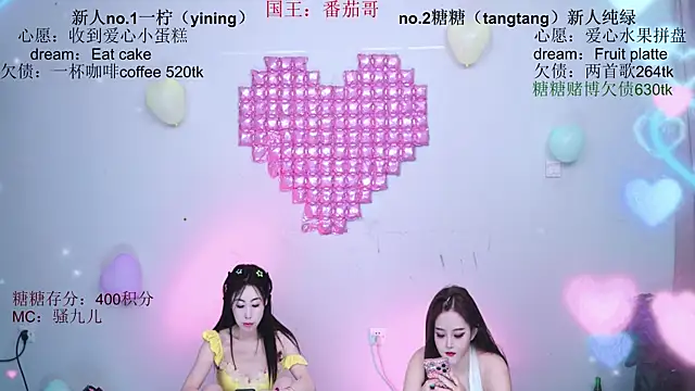 CCTW-100 webcam