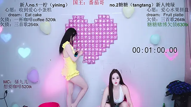 CCTW-100 webcam