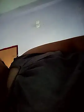 Hansikatelugu webcam