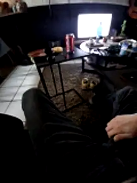 Andysagan webcam