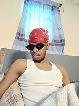 69_SINNS webcam