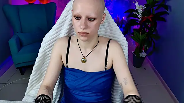 LidaDarknet webcam