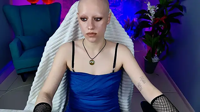 LidaDarknet webcam