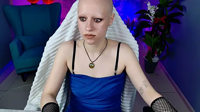 LidaDarknet webcam