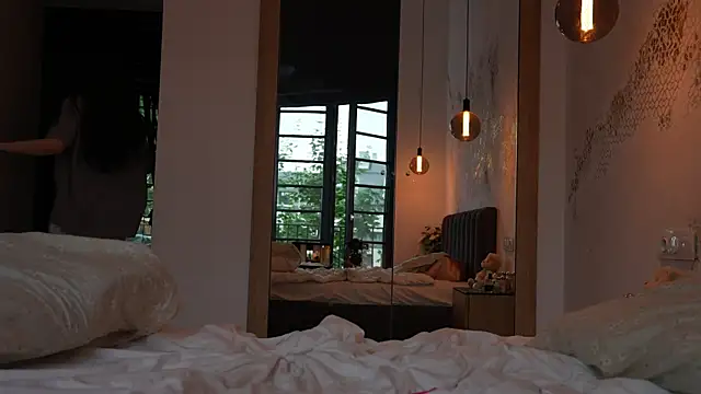 ibiddi webcam