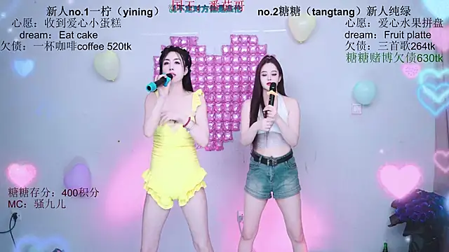 CCTW-100 webcam