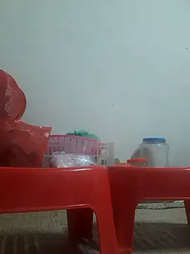 -Tara-a webcam