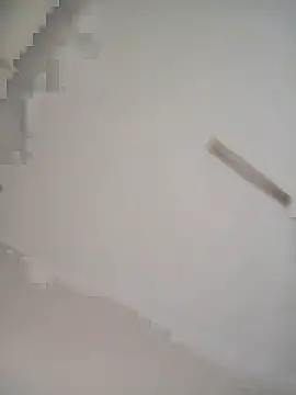 Help-the-woman webcam