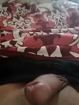 welltommy2001 webcam