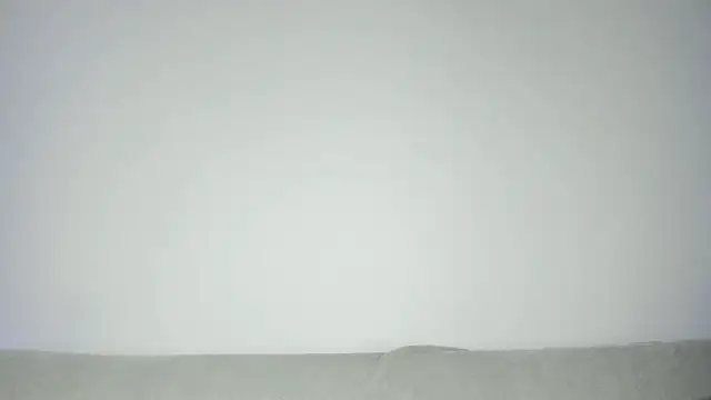MiaMews webcam