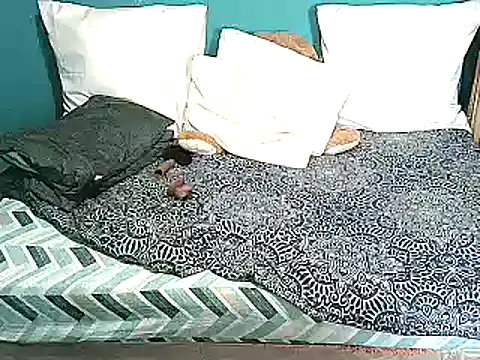 Indian_blaze006 webcam