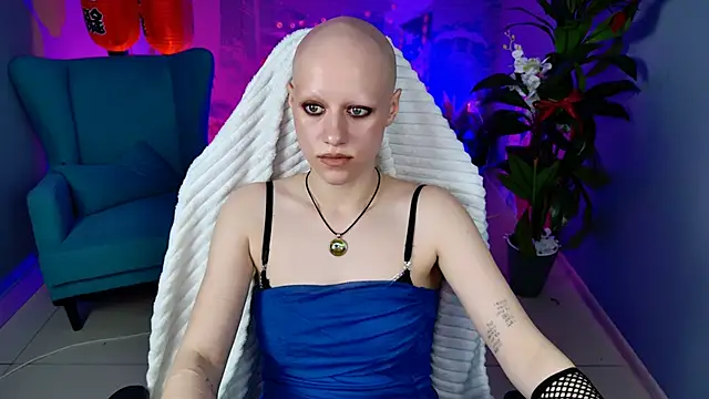 LidaDarknet webcam