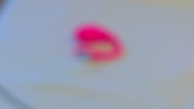 sinteas webcam