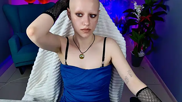 LidaDarknet webcam