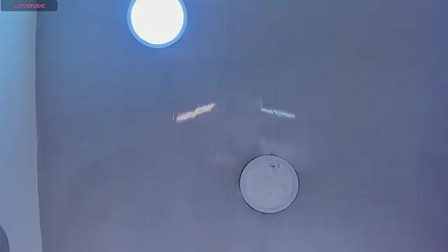 1Sloppy_Fox4 webcam