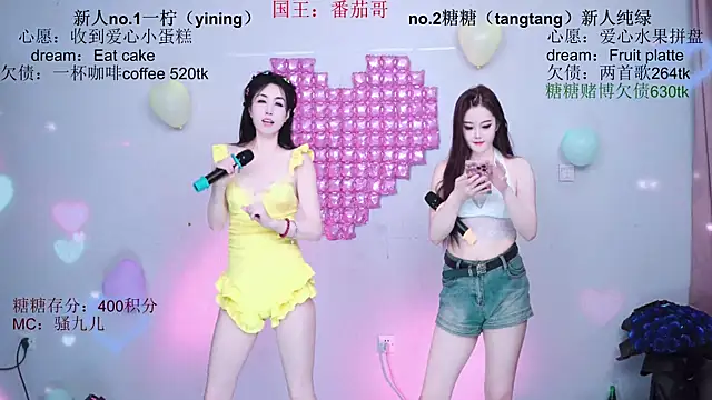 CCTW-100 webcam