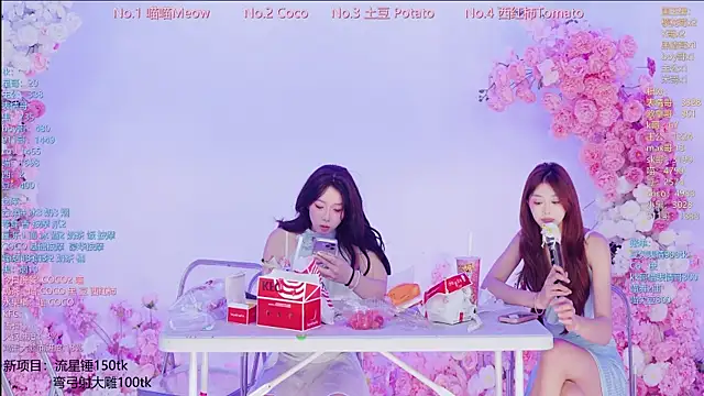 SSF-888 webcam