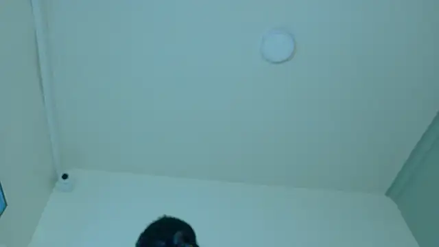 LexaDominant__ webcam