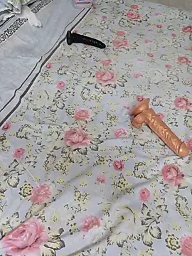 Saso-4 webcam
