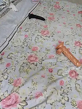 Saso-4 webcam
