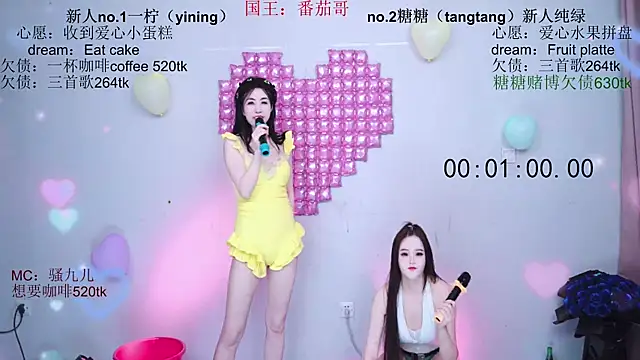 CCTW-100 webcam