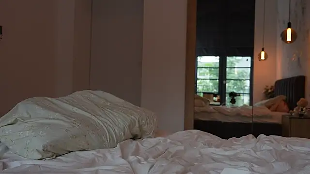 ibiddi webcam