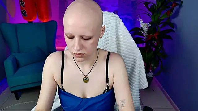 LidaDarknet webcam