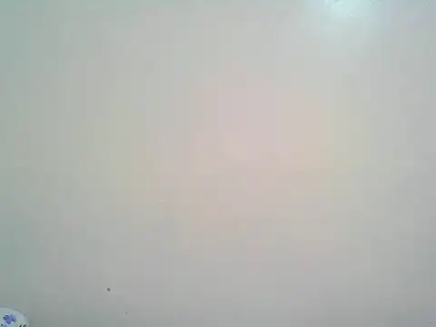 macecce webcam