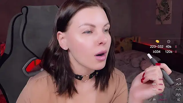 Alaska_ya webcam