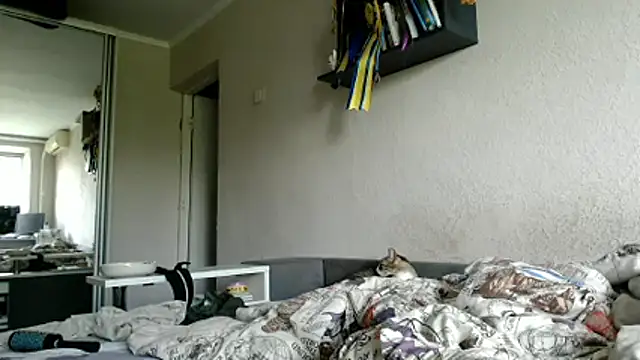 delightful_sofi webcam