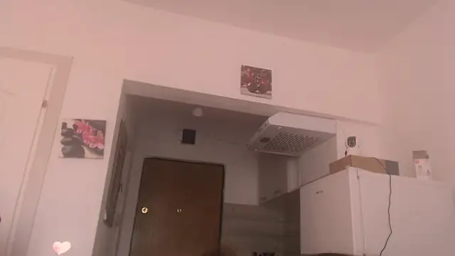 simyhvn webcam