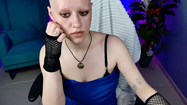 LidaDarknet webcam