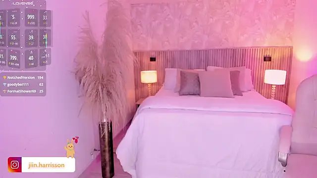 Jin-harrison webcam