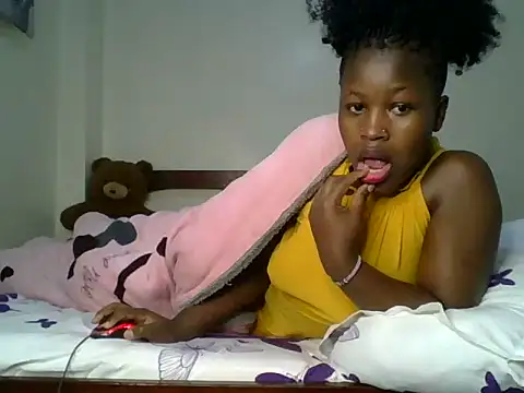 Shi_Assy webcam