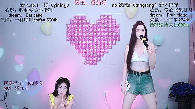 CCTW-100 webcam