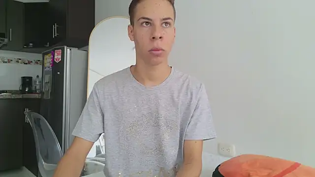 grey___27 webcam