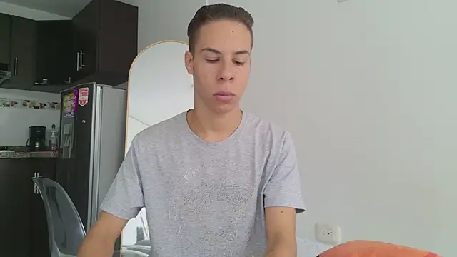 grey___27 webcam