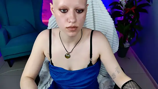 LidaDarknet webcam