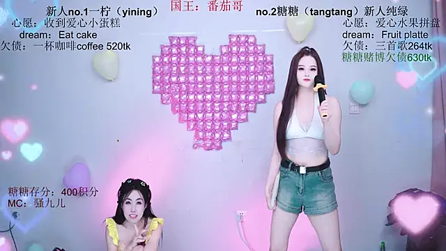 CCTW-100 webcam