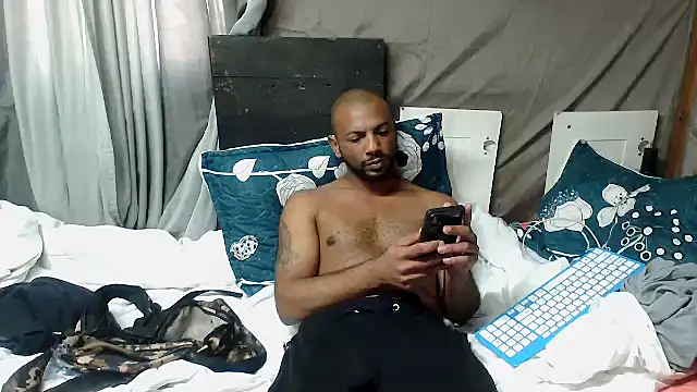Camodick webcam