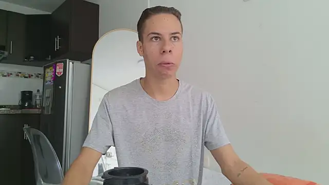 grey___27 webcam