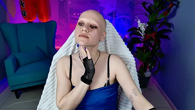 LidaDarknet webcam