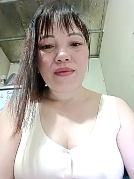 Sana-vn webcam