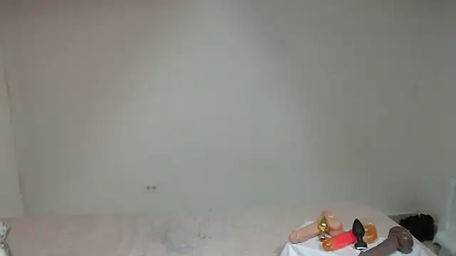 Agatha_browser webcam