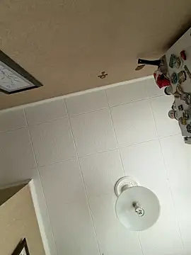 Frosl webcam