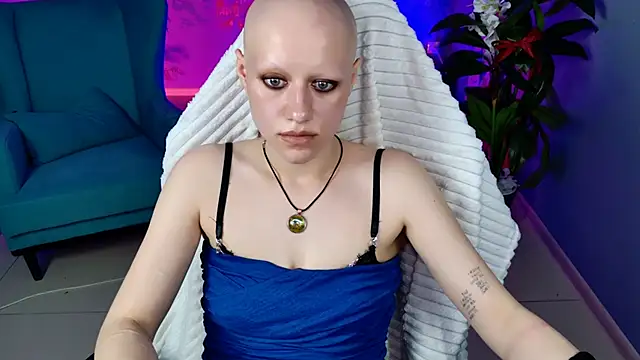 LidaDarknet webcam