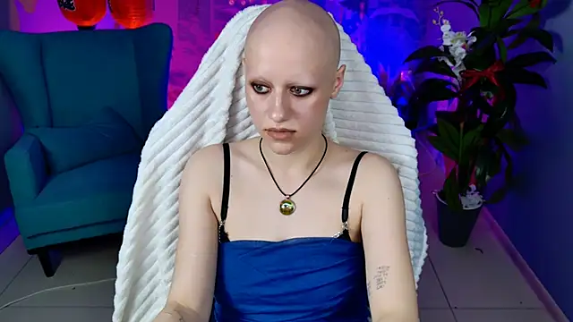 LidaDarknet webcam