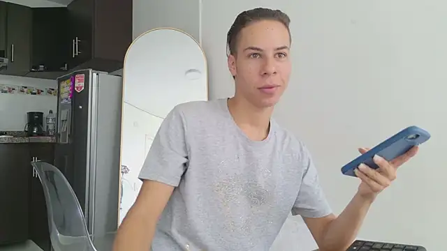 grey___27 webcam