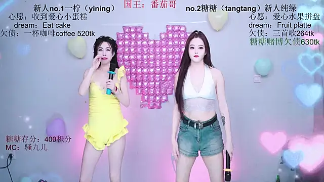 CCTW-100 webcam
