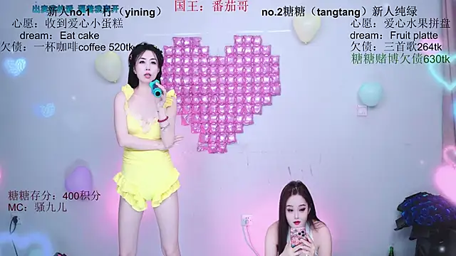 CCTW-100 webcam
